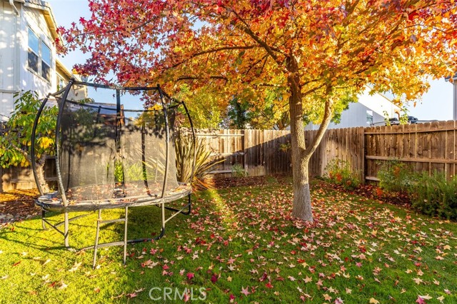 MLS #SC25245276 image #36