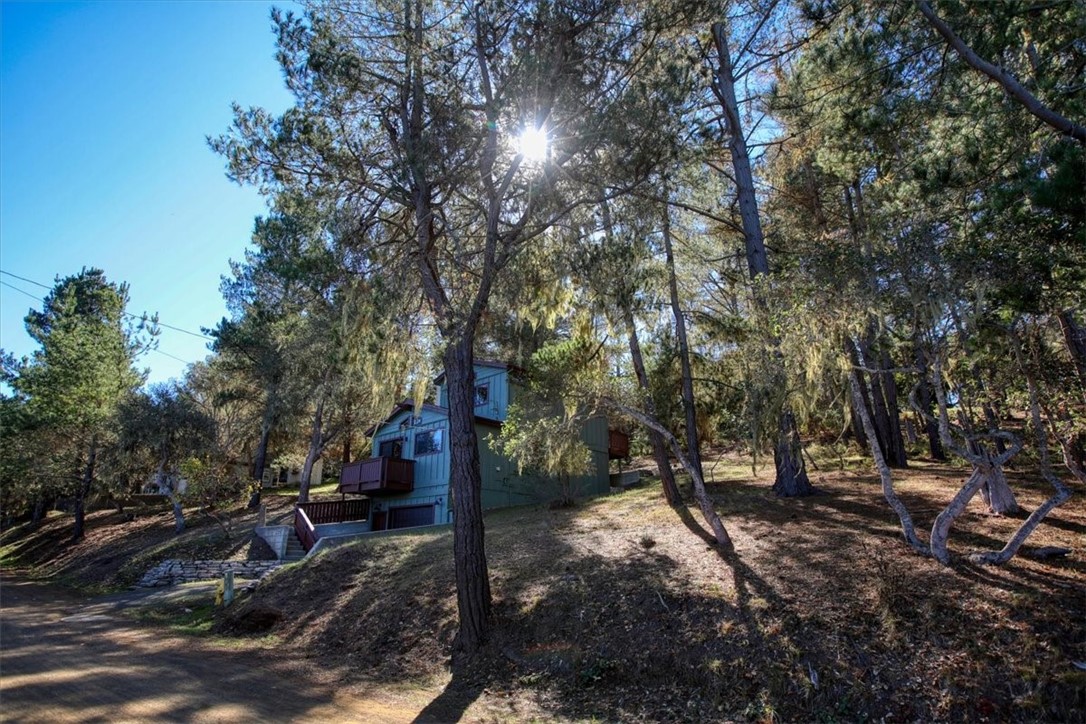 MLS #SC25248781 image #49