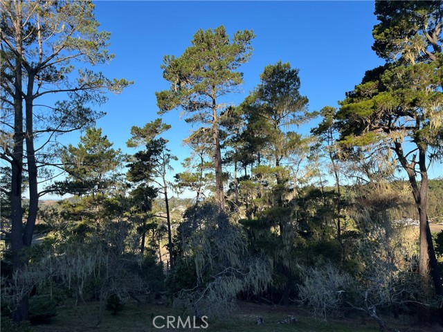 MLS #SC25250182 image #0