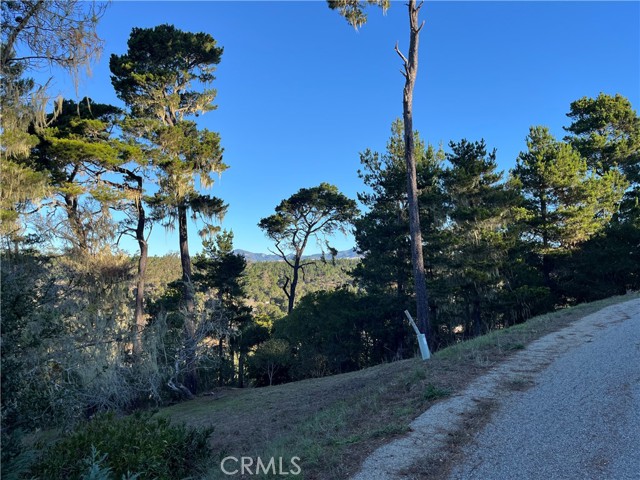 MLS #SC25250182 image #1