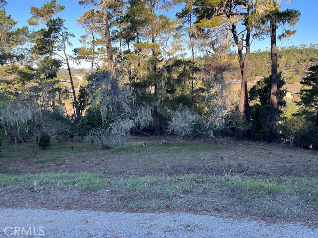 MLS #SC25250182 image #11