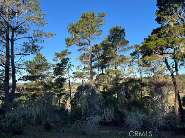 MLS #SC25250182 image #12