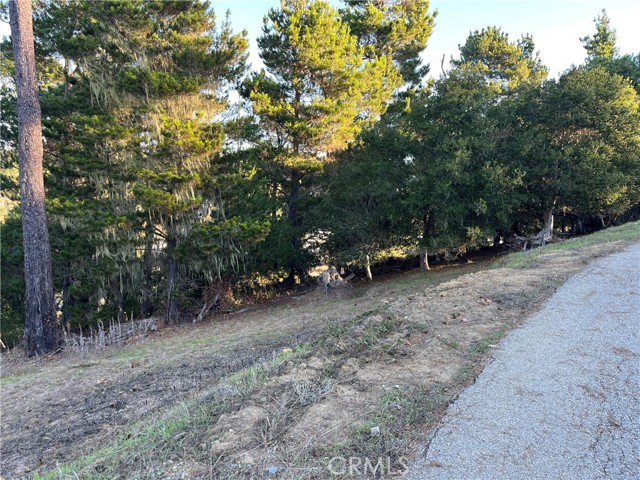 MLS #SC25250182 image #4