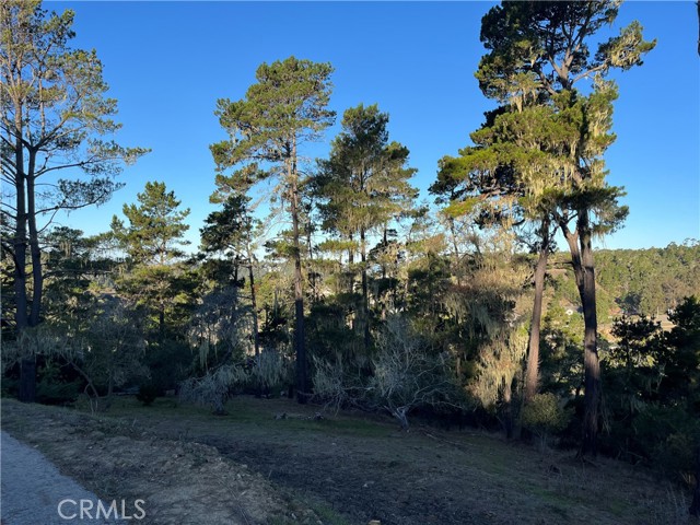 MLS #SC25250182 image #7