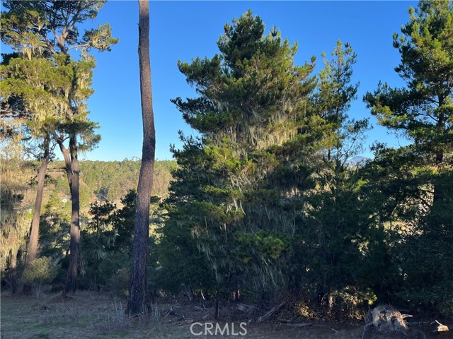 MLS #SC25250182 image #9