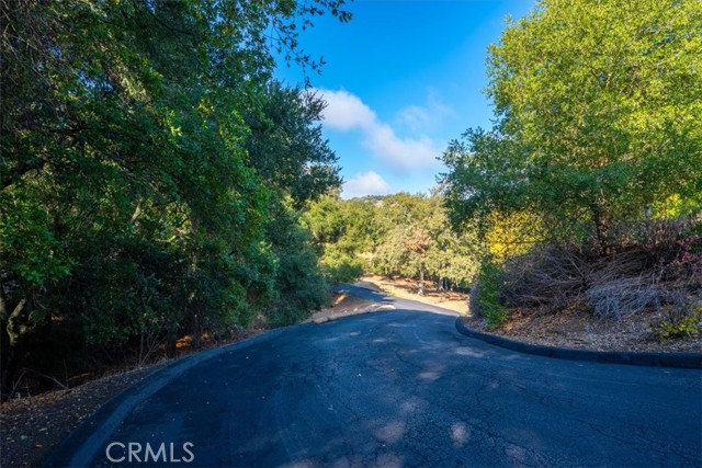 MLS #SC25250440 image #50