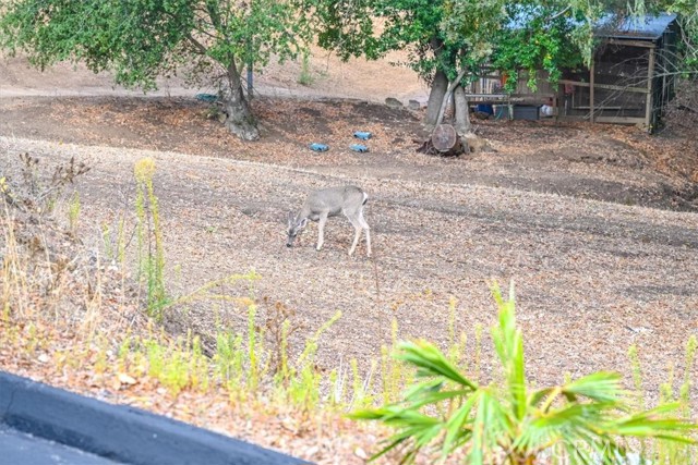 MLS #SC25250440 image #53