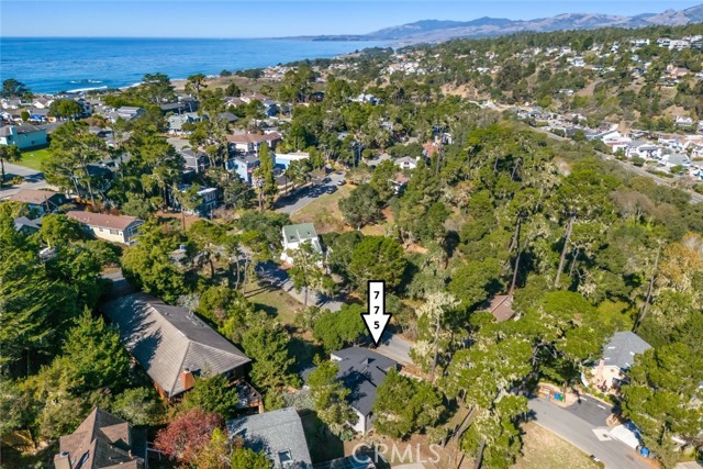 MLS #SC25251393 image #3