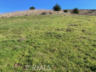 MLS #SC25251563 image #0