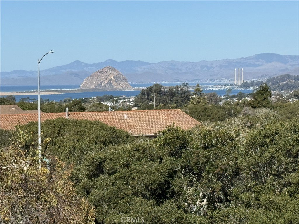 MLS #SC25256262 image #2