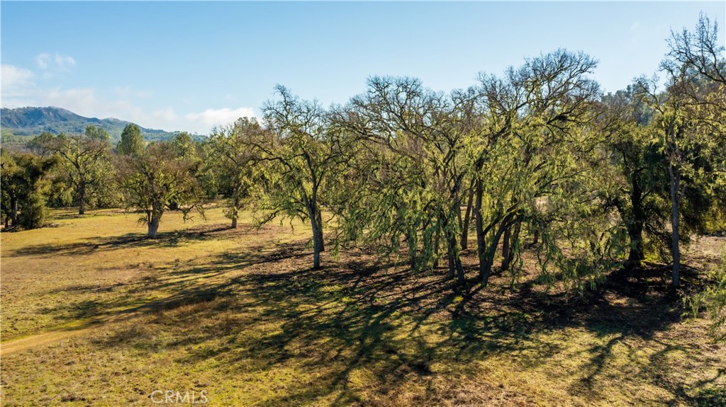 MLS #SC25261376 image #10