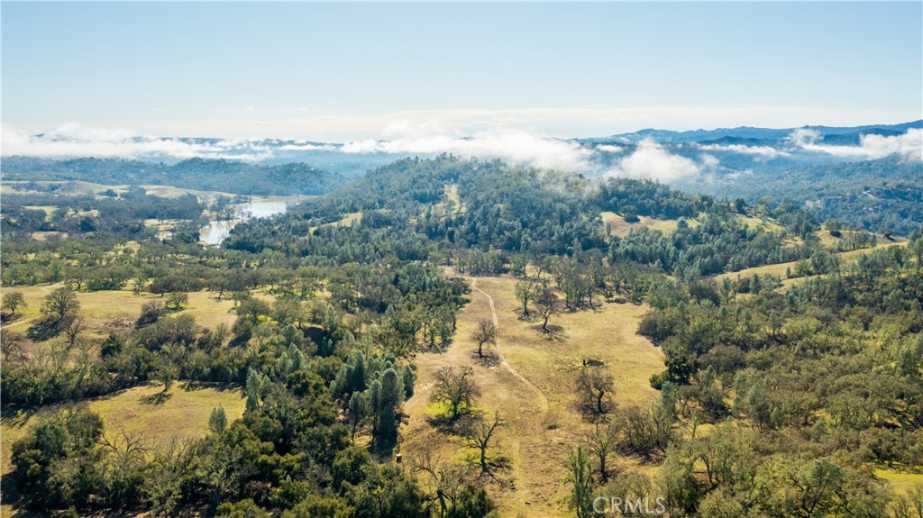 MLS #SC25261376 image #6