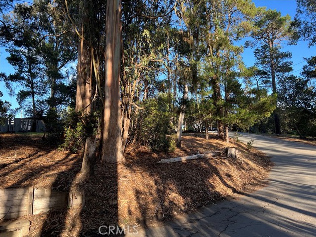 MLS #SC25263146 image #11