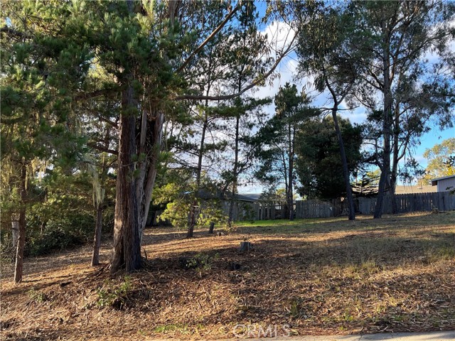 MLS #SC25263146 image #12