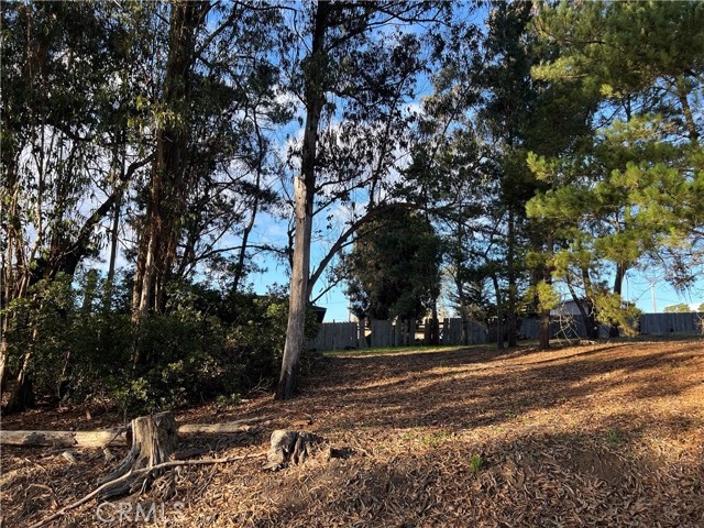 MLS #SC25263146 image #4