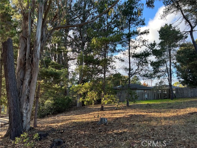 MLS #SC25263146 image #5