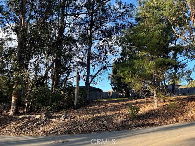 MLS #SC25263146 image #7