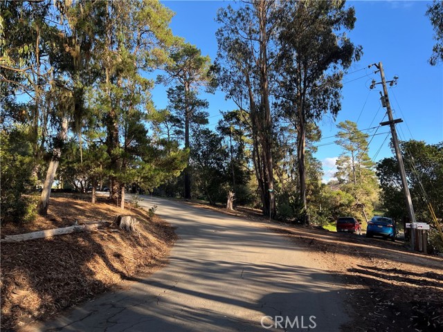 MLS #SC25263146 image #9