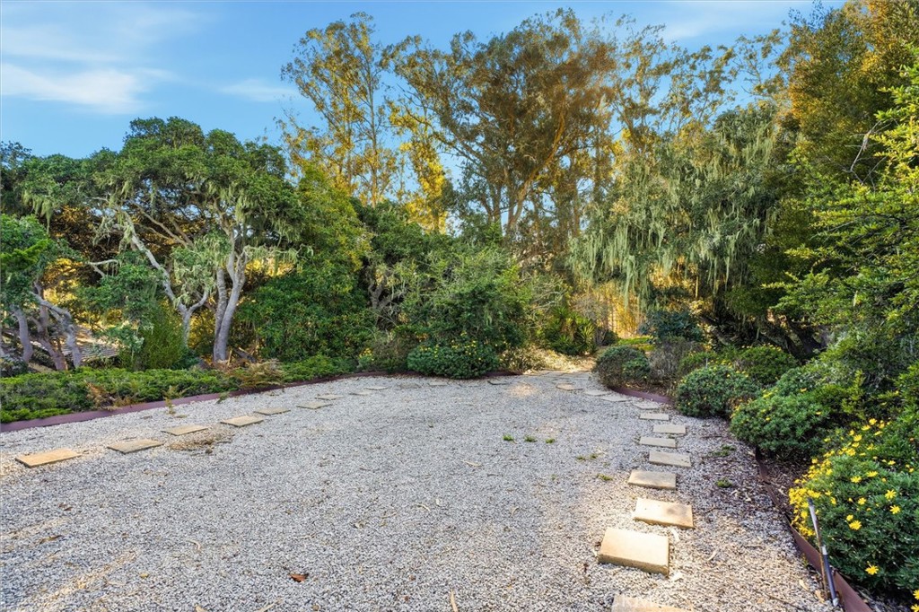 MLS #SC25266082 image #6