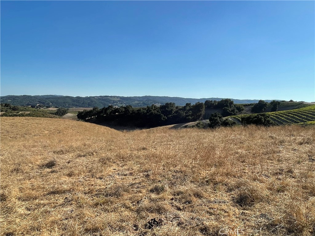 MLS #SC25266385 image #3