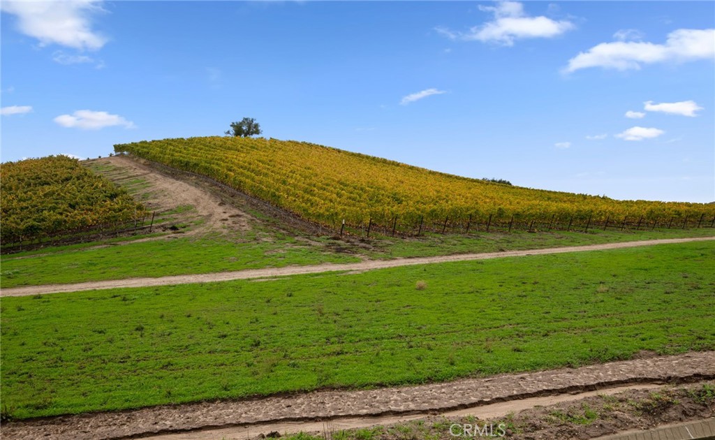 MLS #SC25267752 image #27