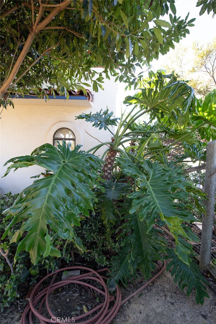 MLS #SC25268160 image #54