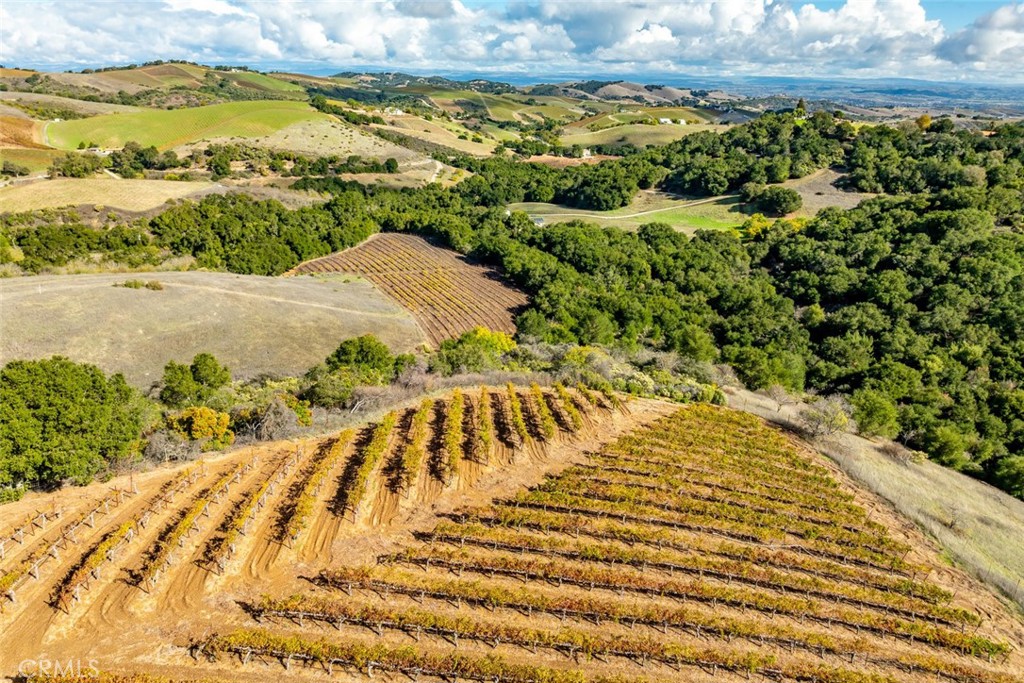 MLS #SC25268197 image #0