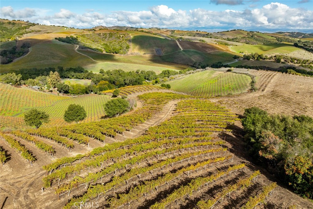 MLS #SC25268197 image #11