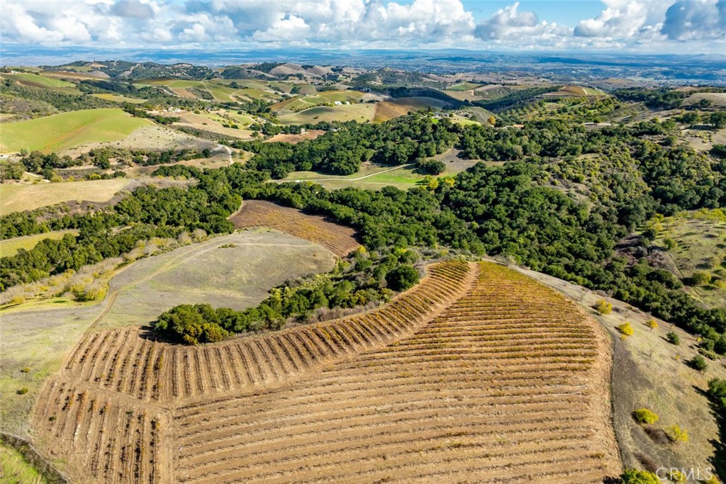 MLS #SC25268197 image #12