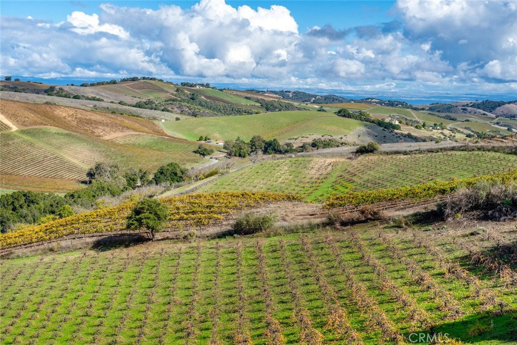 MLS #SC25268197 image #6