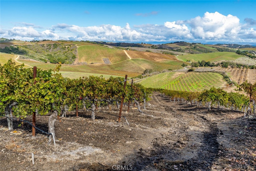 MLS #SC25268197 image #7