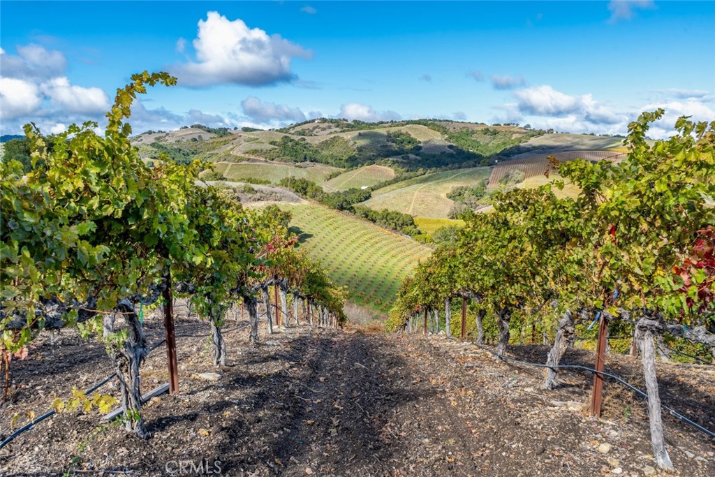 MLS #SC25268197 image #8