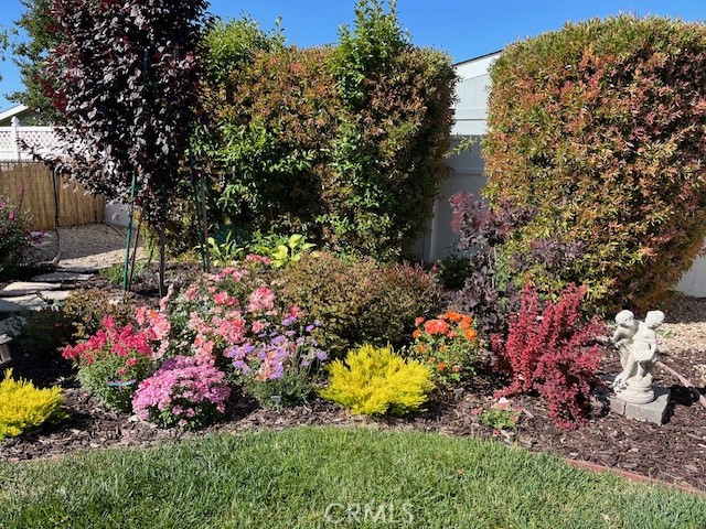 MLS #SC25269781 image #39