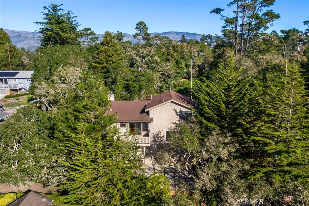 MLS #SC25271339 image #1