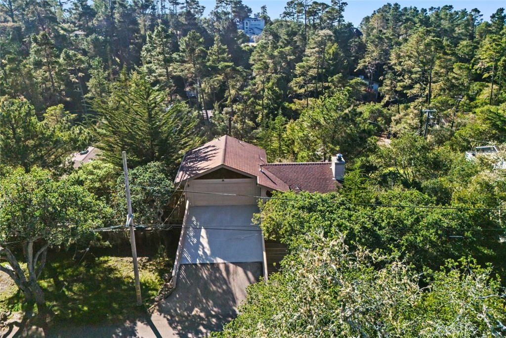 MLS #SC25271339 image #37