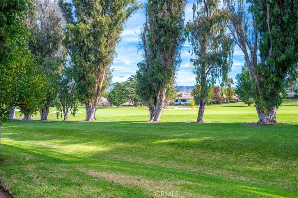 MLS #SC25272837 image #54