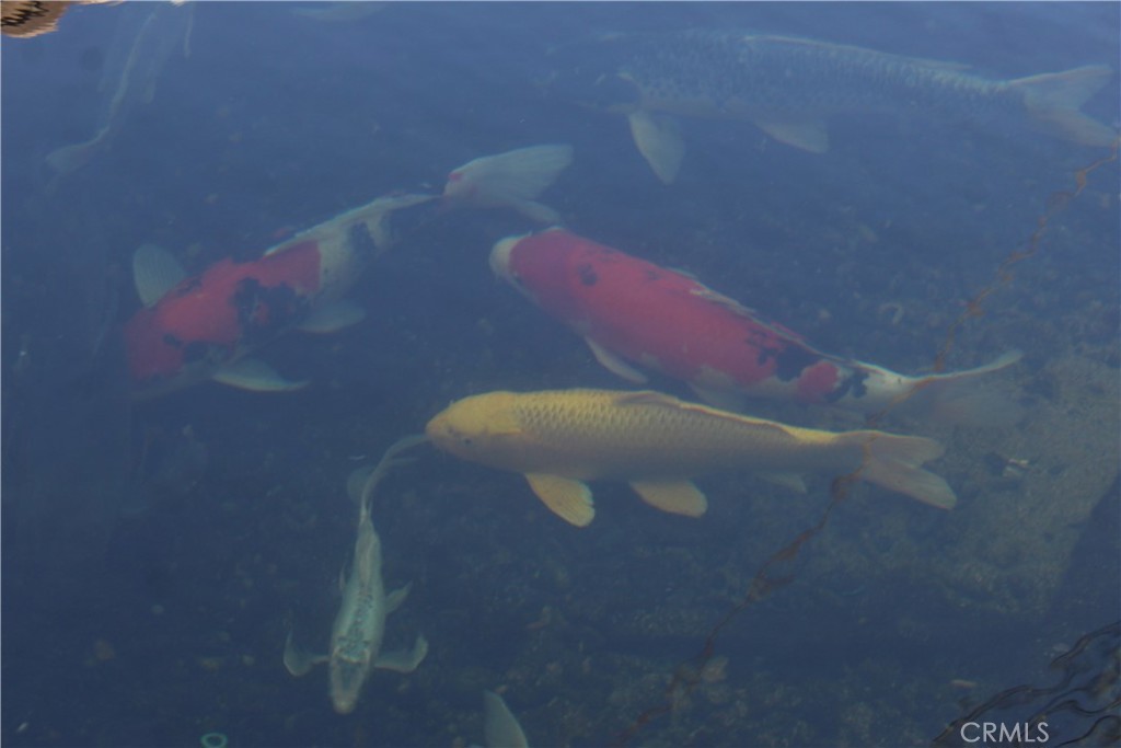 MLS #SC25273154 image #26