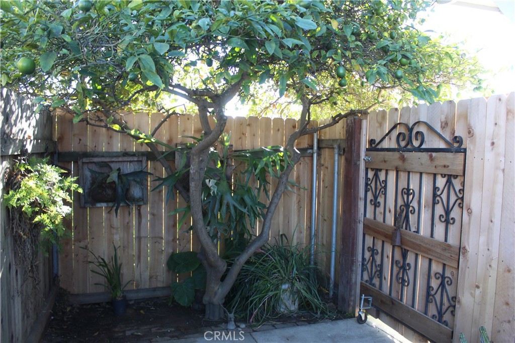 MLS #SC25273154 image #29