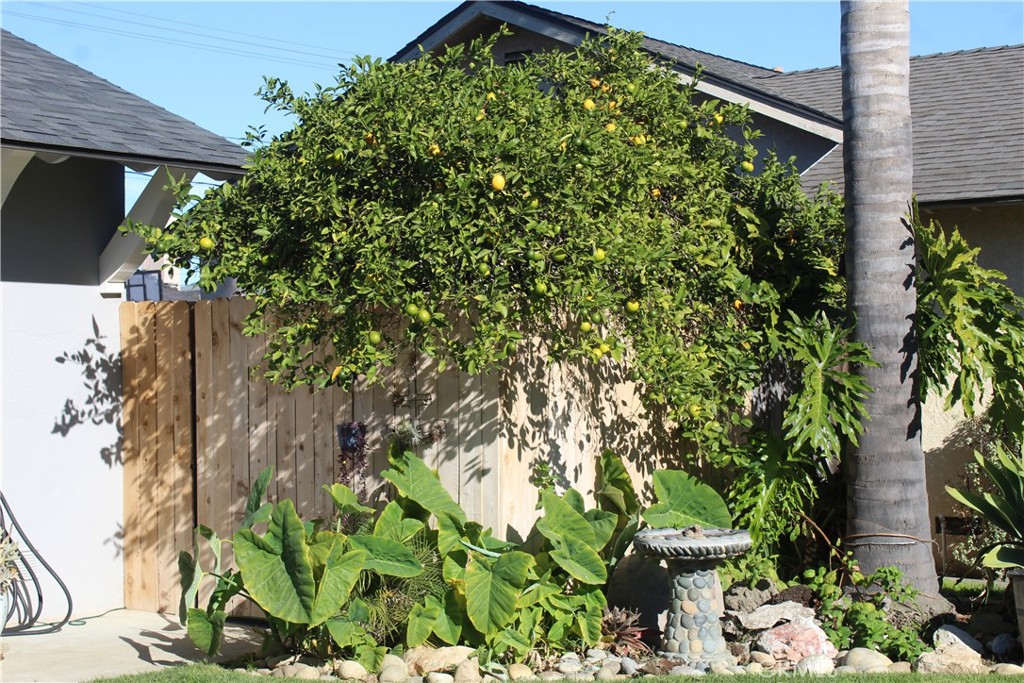 MLS #SC25273154 image #3