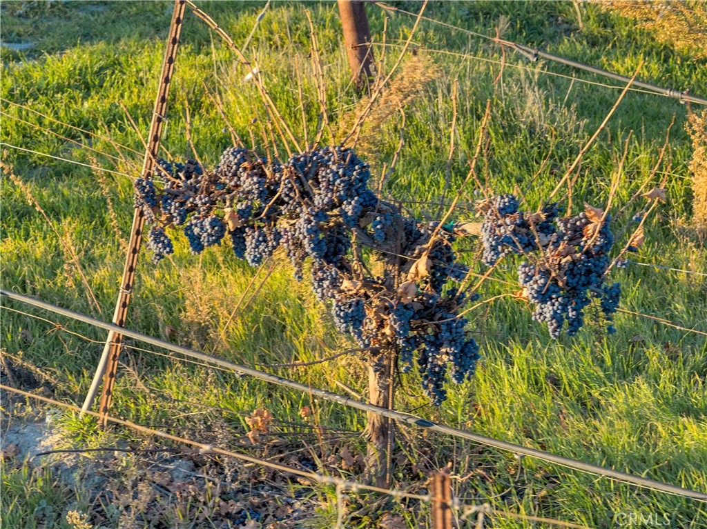 MLS #SC25273793 image #52