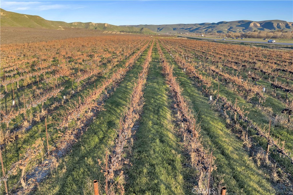 MLS #SC25273793 image #55