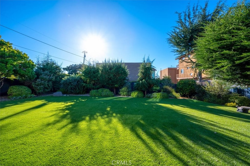 MLS #SC25274772 image #54