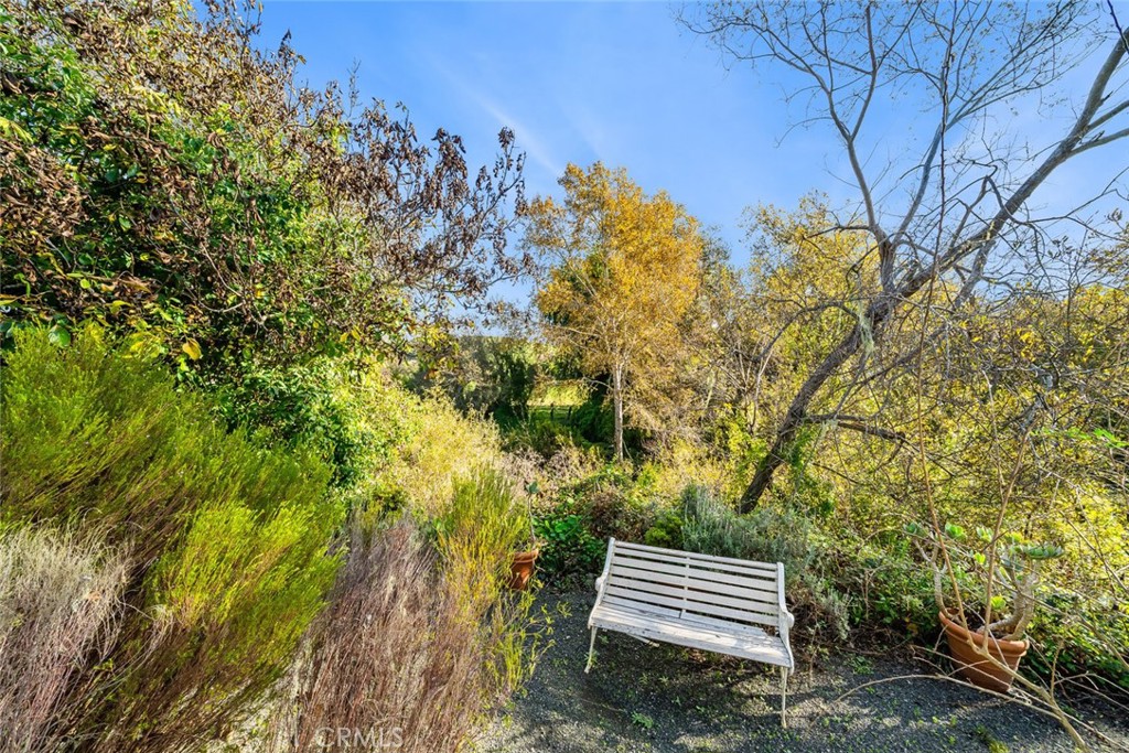 MLS #SC25274831 image #49