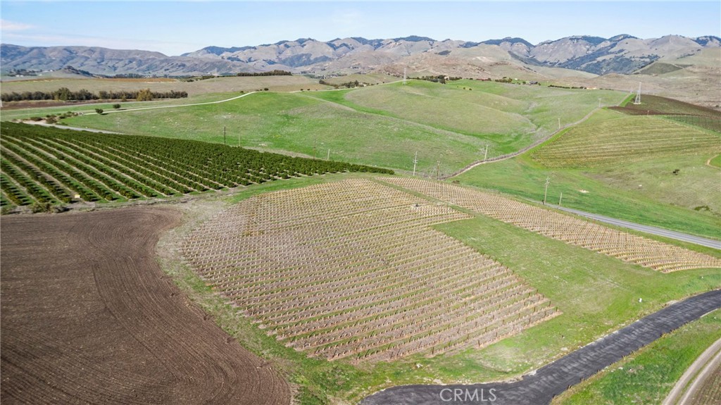 MLS #SC25279324 image #0