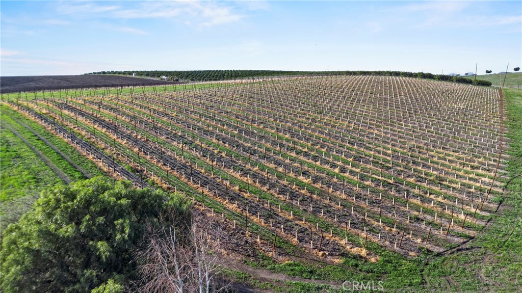 MLS #SC25279324 image #5