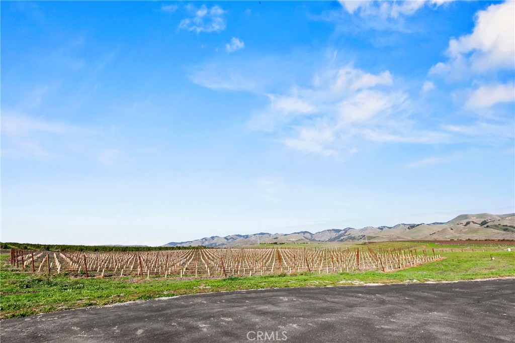 MLS #SC25279324 image #6