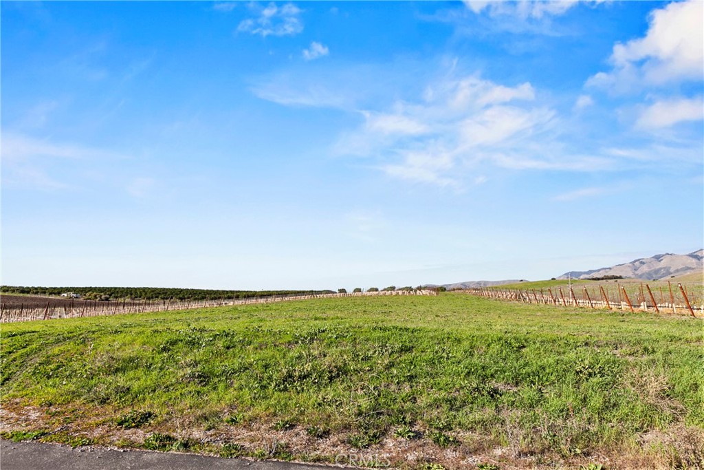 MLS #SC25279324 image #7