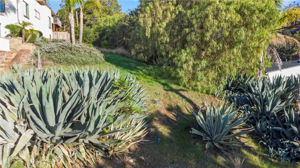 MLS #SC25279483 image #1