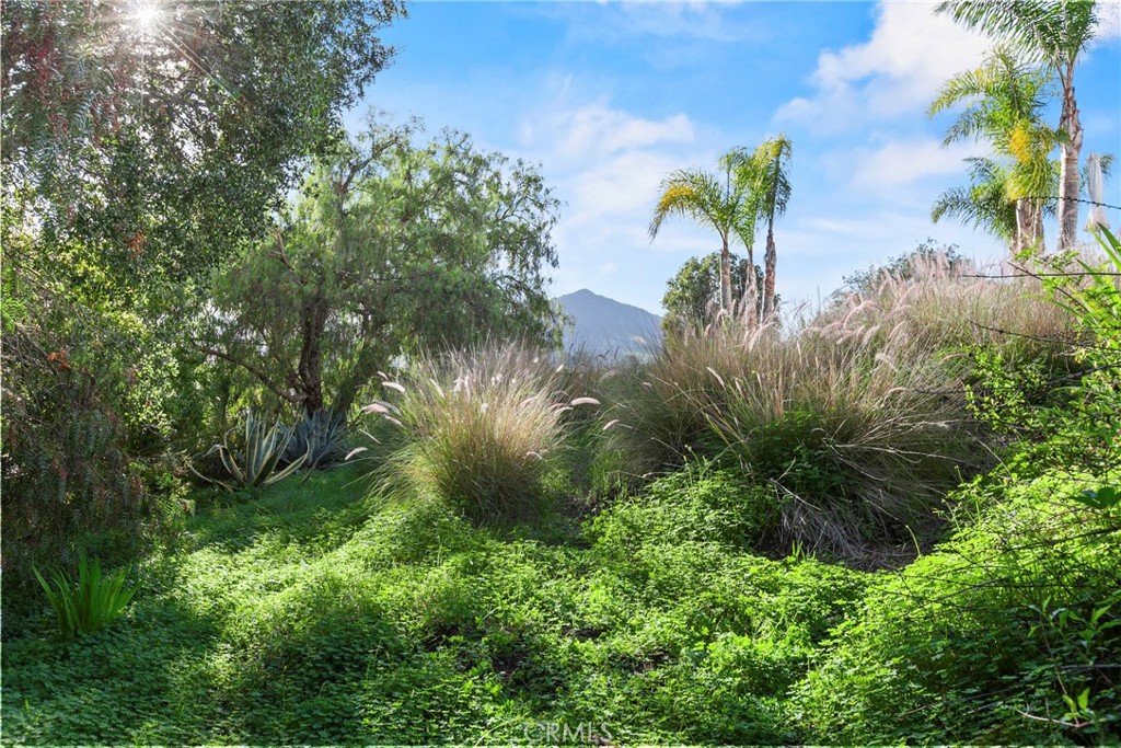 MLS #SC25279483 image #5