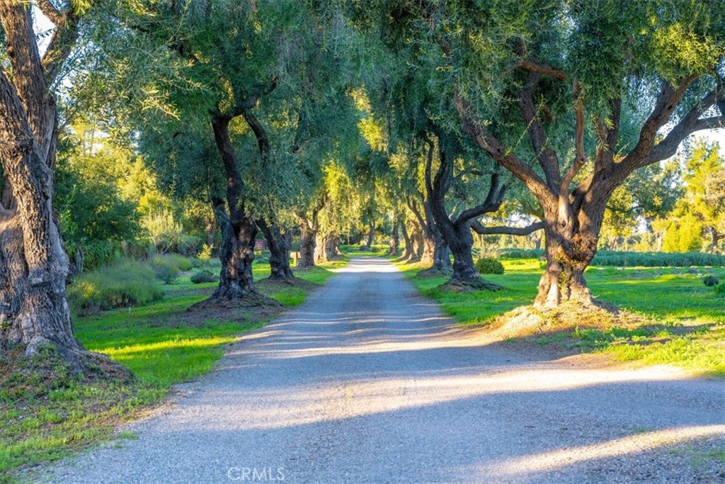 MLS #SC25279682 image #2